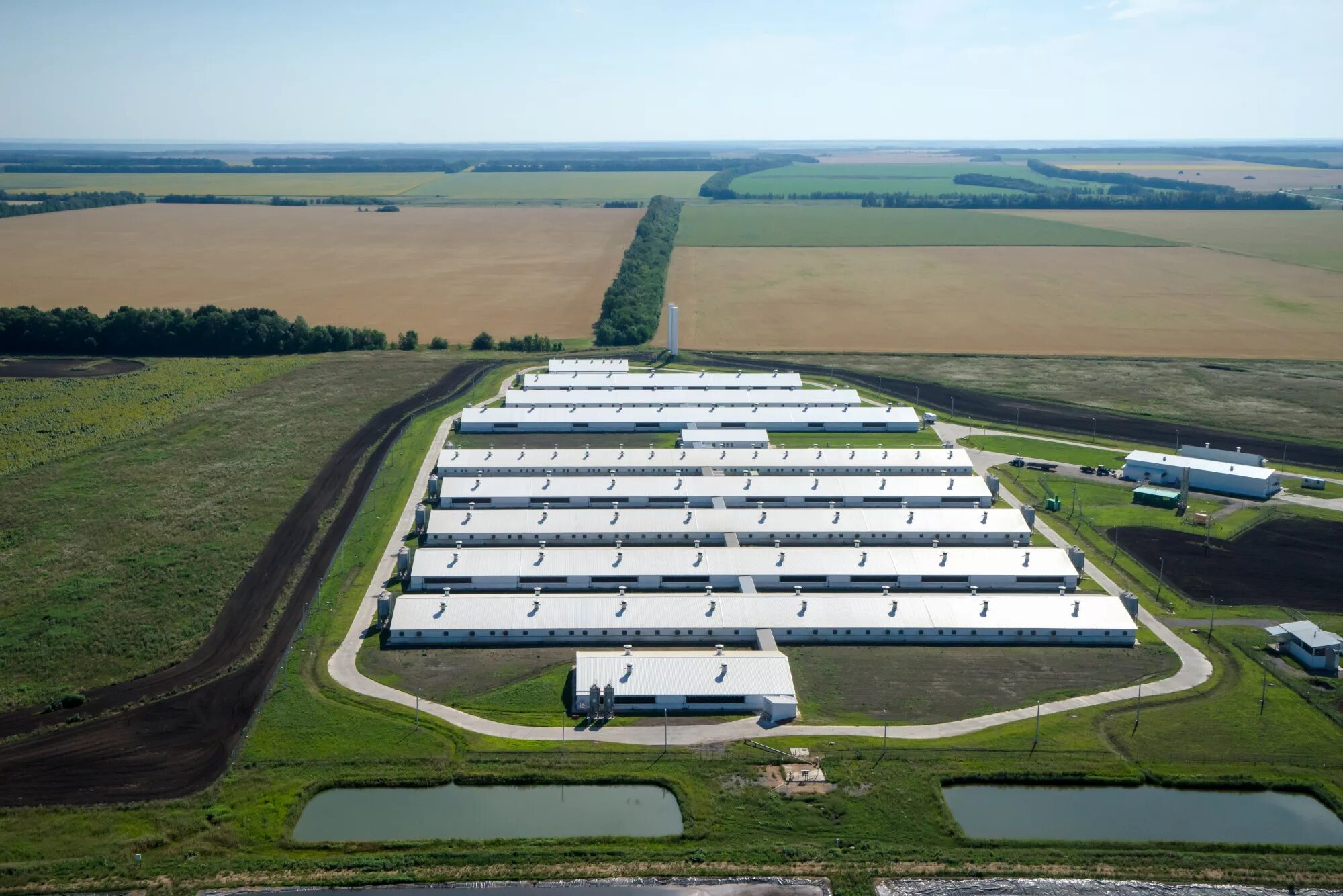 Сборщик грибов. Фасовка капусты. Вахта воронежская область. Рыбный завод энгельс. Башнефтегеофизика камаз.