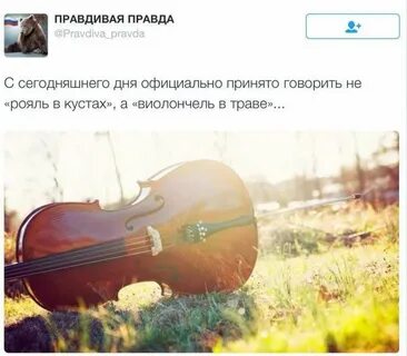 Скрипка май
