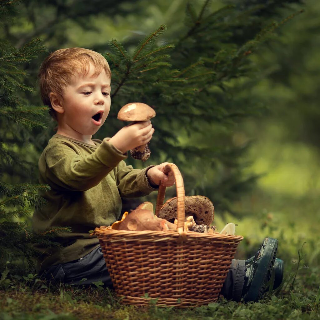 Удивление в лесу. Акилы дозоры 27 июля. Мальчик в лесу с корзинкой. Мальчик с корзиной грибов. Дети с корзинками в лесу.