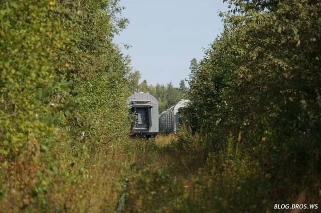 Бжрк кострома. Станция василек бжрк. станция ромашка бжрк.