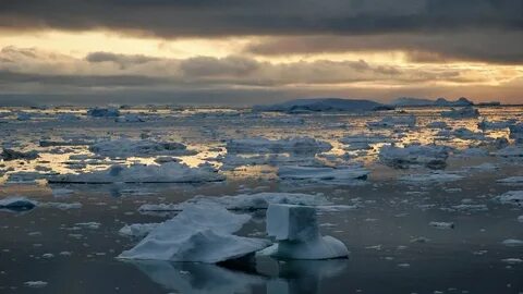 The sea ice