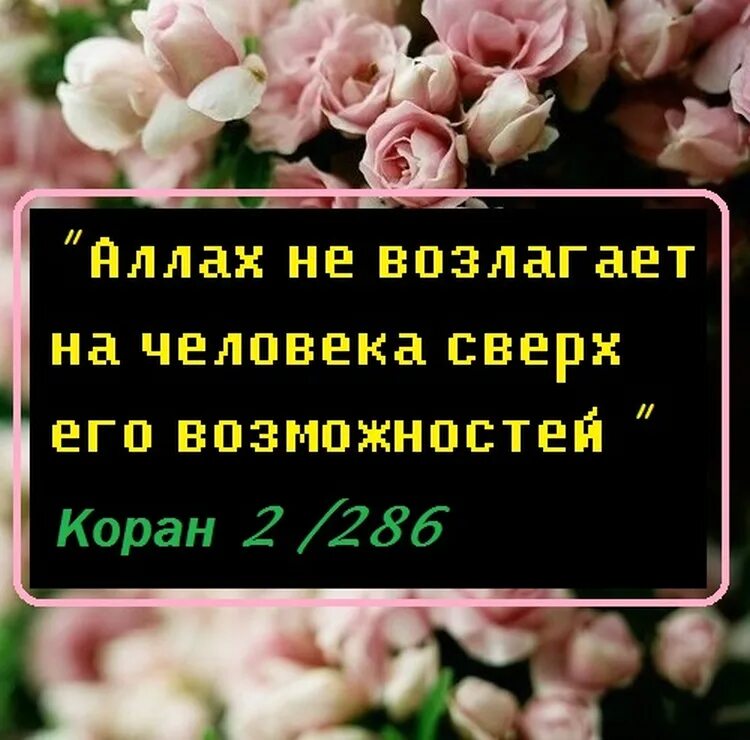 Исламские статусы. Красивые статусы мусульманские. Мусульманские статусы про жизнь. Красивые исламские цитаты.