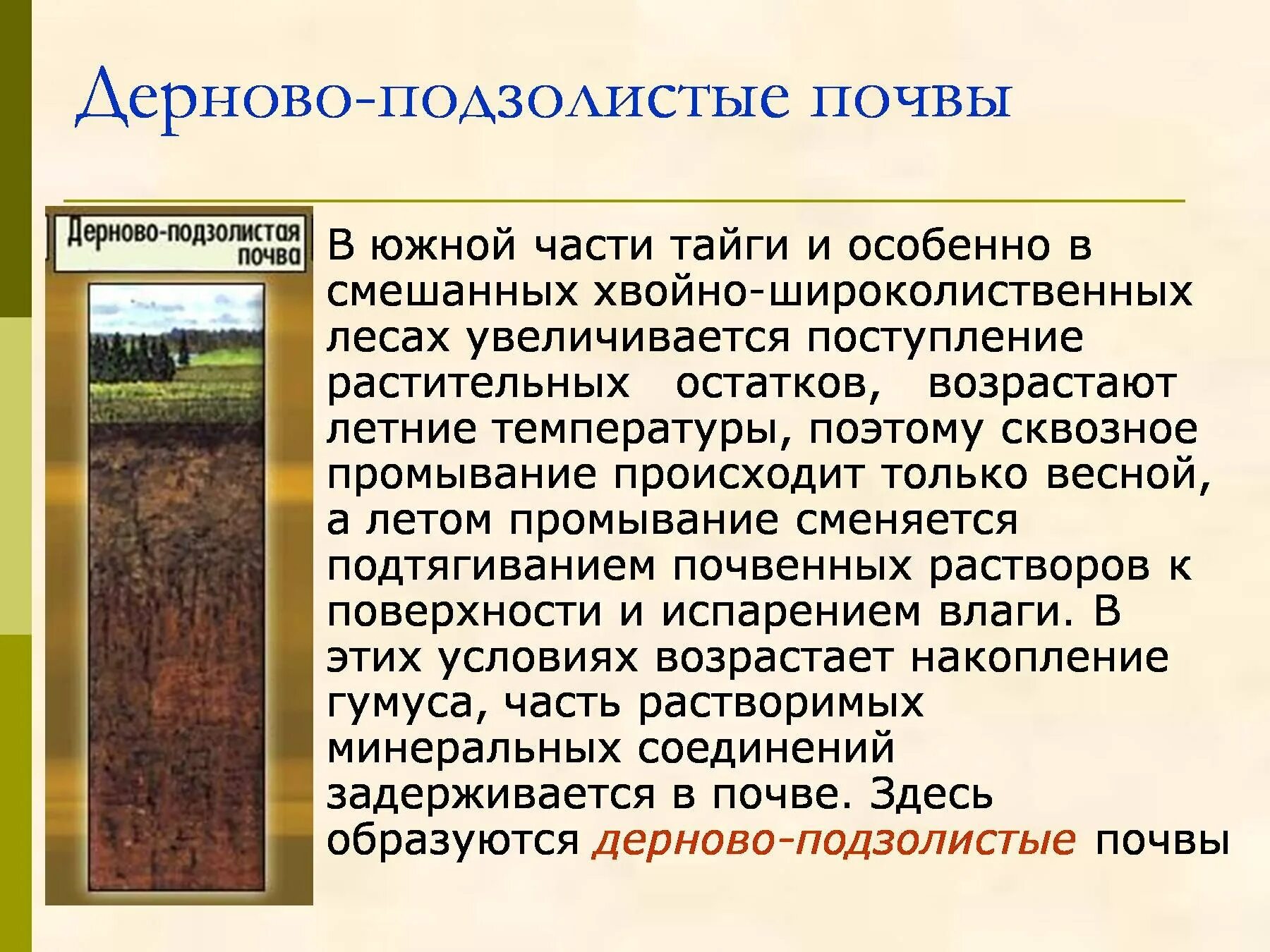 Типы почв тайга и степь. Дерново-подзолистые почвы тайги. Дерново-подзолистые почвы зоны России. Дерново подзолистые гумус. Дерново-подзолистые почвы климат.