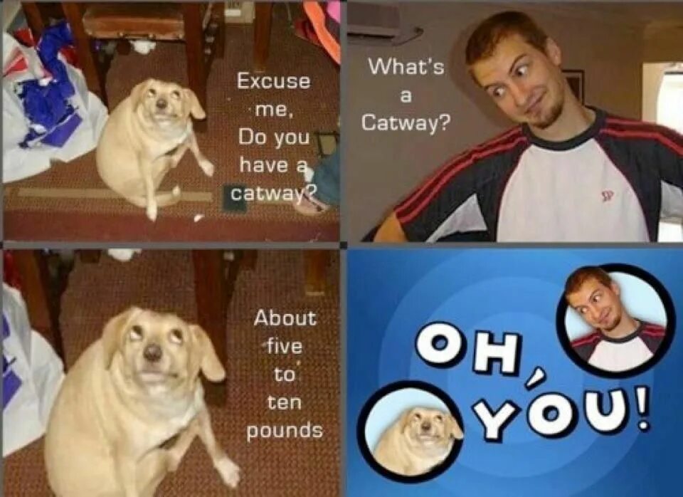 Oh you Мем. Oh you Dog. Oh you собака. Oh you meme Dog. Excuse me what did you