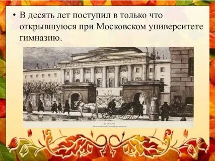 Гимназия университета