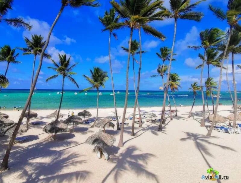 Доминикана 2022. Отдых в доминикане. Доминикана 2022. Доминикана в феврале. Пунта кана зимой.