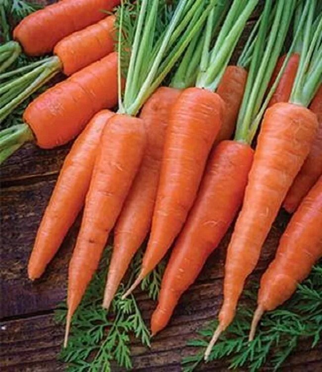 Мешок морковки. Морковь мытая. Мешок моркови. Морковь, сетка. Мешок моркови.