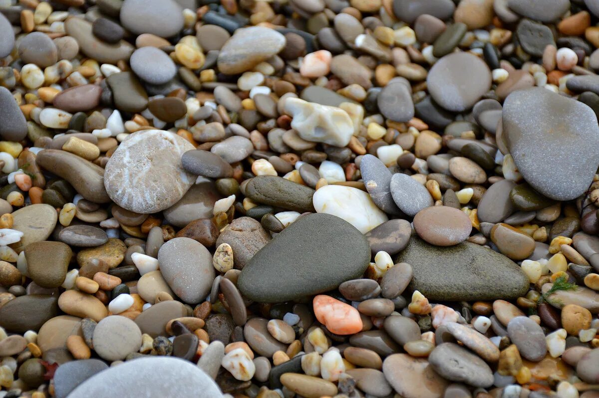 Галька в спб. Морская галька. Морская Прибрежная галька. Морские камушки. Морские камни или галька.