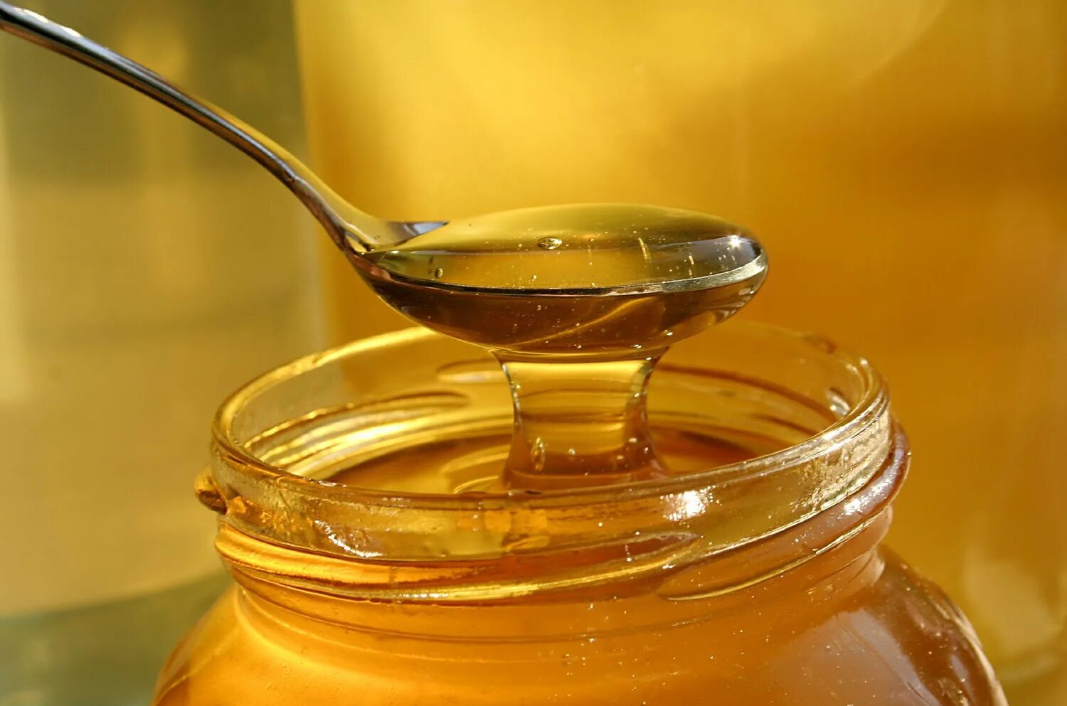 Honey фото. Мед. Мёд цветочный. Мёд натуральный. Жидкий мед.