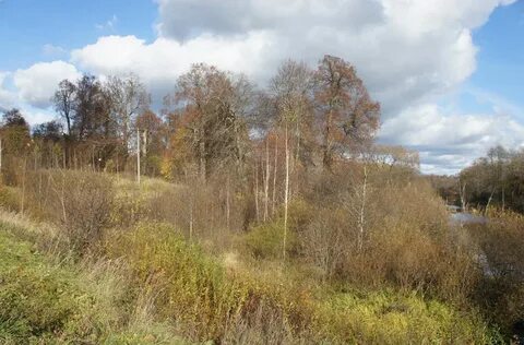 Красное смоленская