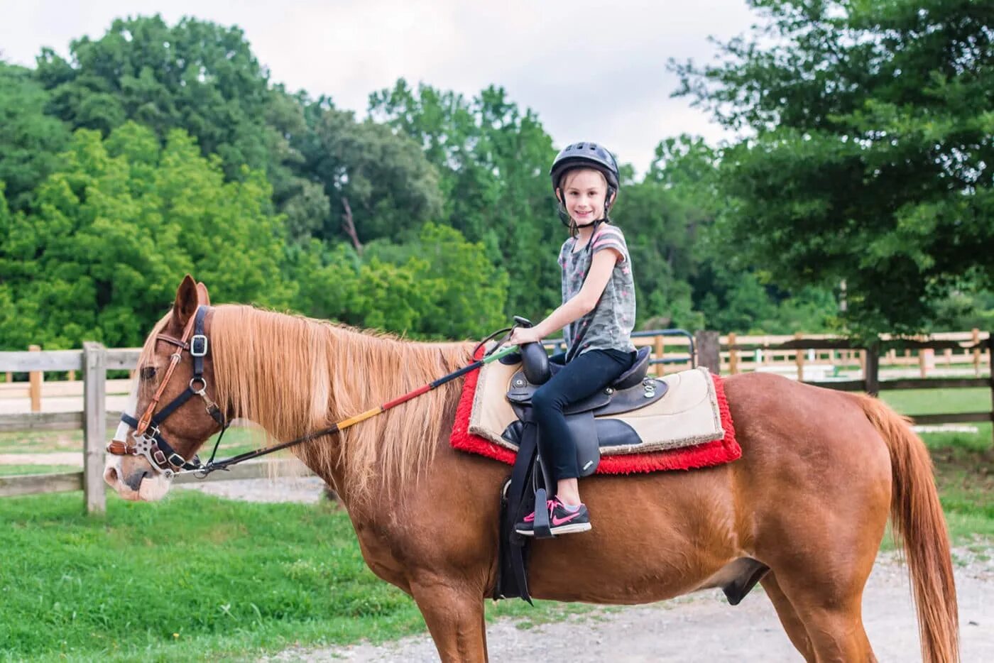 Horse riding. Ride a Horse. Horseback Ride. Kid Ride Horse. Ride the chariot