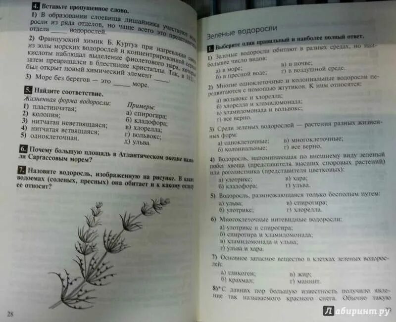 Гуленков тестовые задания. Биология 7 класс тестовые задания. Тестовые задания по ботанике. Водоросли тесты с ответами.