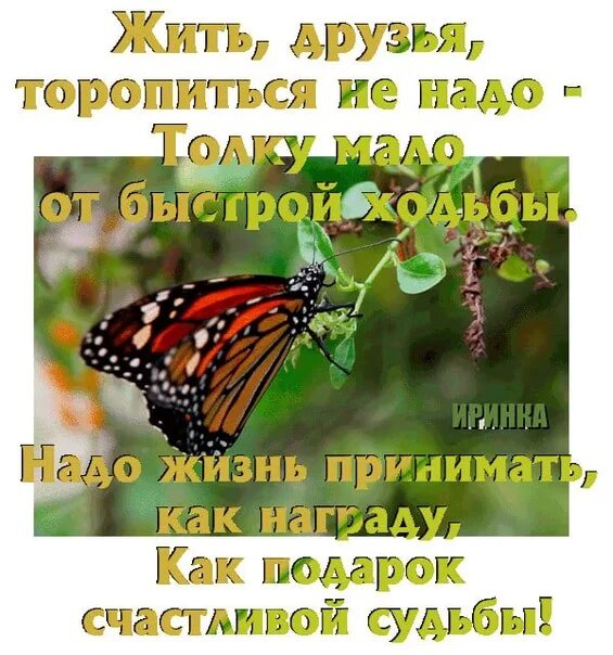 Не спеша или неспеша как правильно. Не надо торопиться жить и суетиться в жизни. Открытка не торопитесь жить. Открытка надо жить. Не нужно спешить жить.