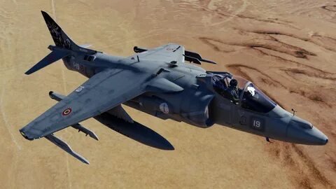 Harrier's