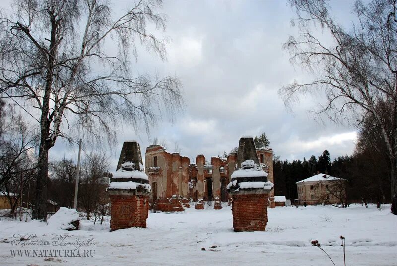 Усадьба михалковых. Петровское (усадьба, Рыбинск). Усадьба Михалковых Петровский парк Рыбинск. Усадьба план Петровское Княжищево. Усадьба Михалкова Петровская.