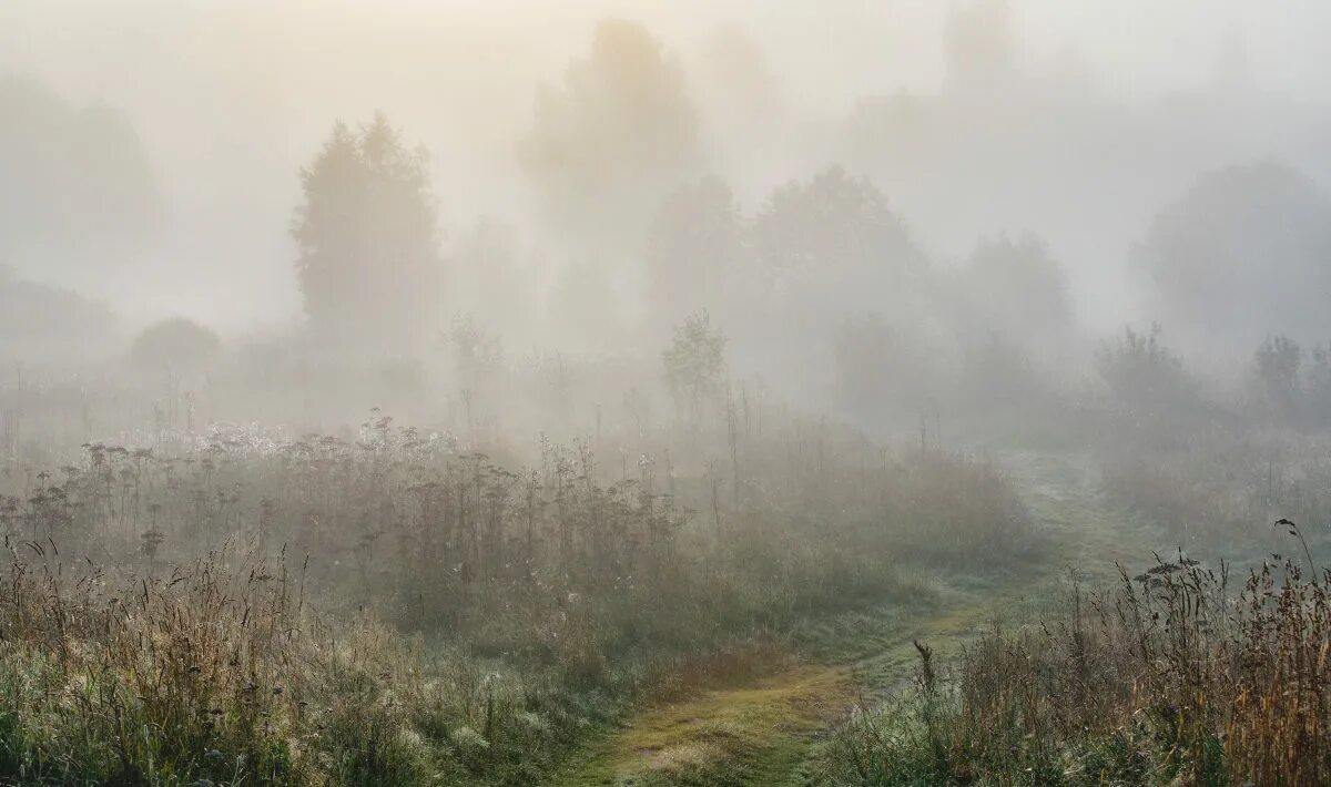 Густой туман тип предложения. Густой туман. Деревня в тумане. Деревенька в тумане. Густой туман в селе.