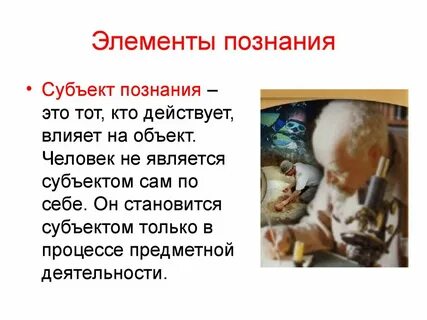 Элементы познания