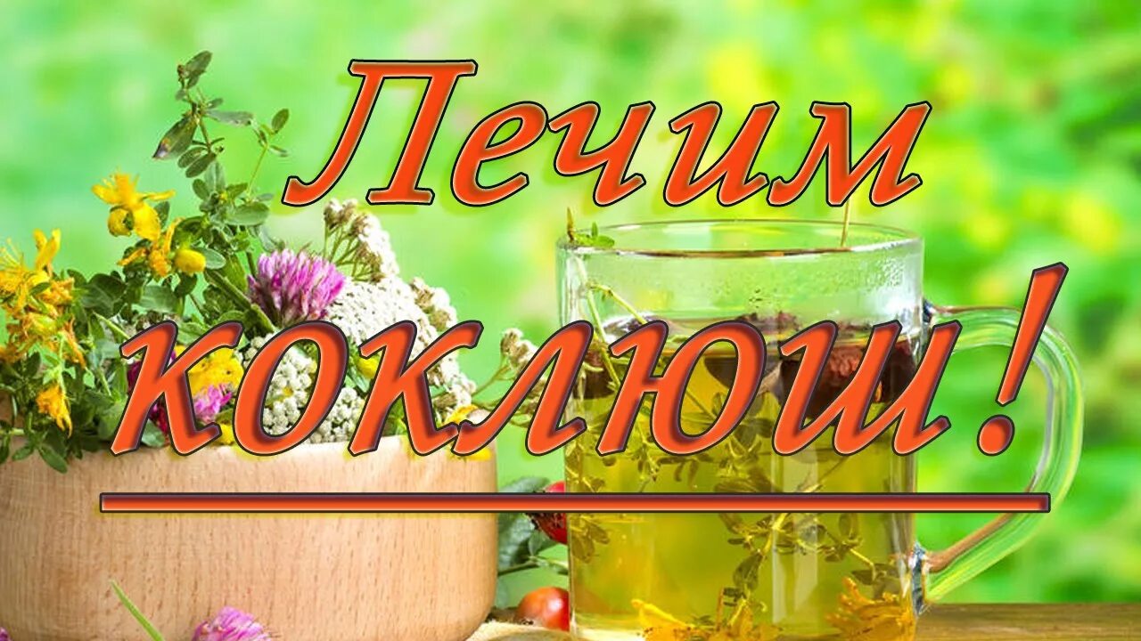 Народное лечение щелкающего. Народное лечение коклюша. народные средства от коклюша. как лечить коклюш народными средствами. лечение коклюша у детей народными средствами.