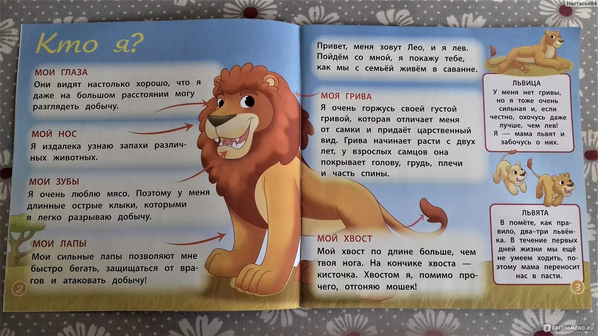Животные дикой природы deagostini. От улыбки слова. Животные дикой природы deagostini лев. Песня обезьяна подавилася бананом. Обезьяна и черепаха.