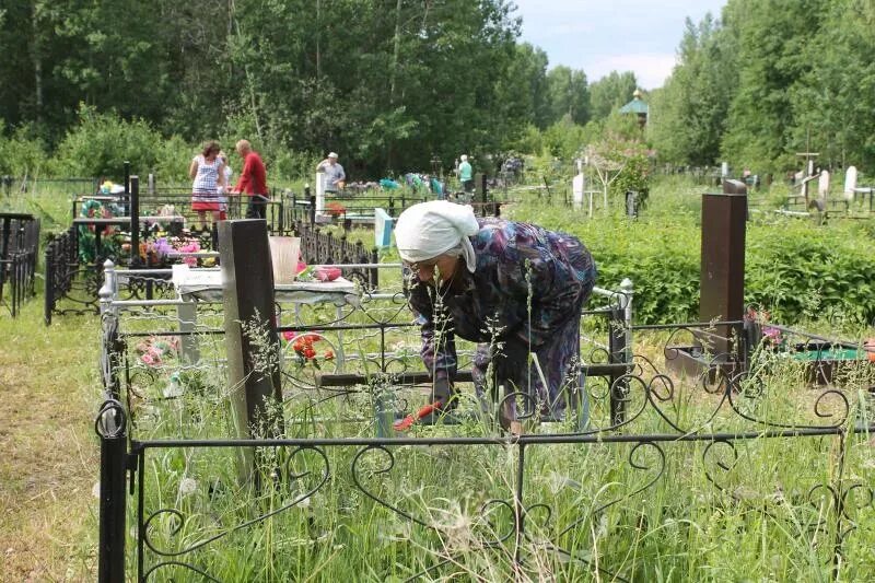 Можно ходить на кладбище до 40 дней. Троица на кладбище. Троицкая родительская суббота на кладбище. Родительский день на кладбище. Посещение кладбища.