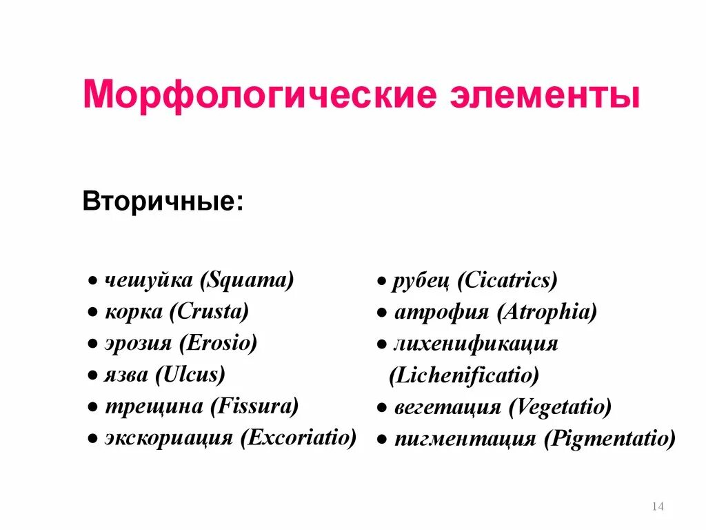 К вторичным элементам относится. К вторичным морфологическим элементам относятся. морфологические элементы. вторичные морфологические элементы. к вторичным морфологическим элементам относят.