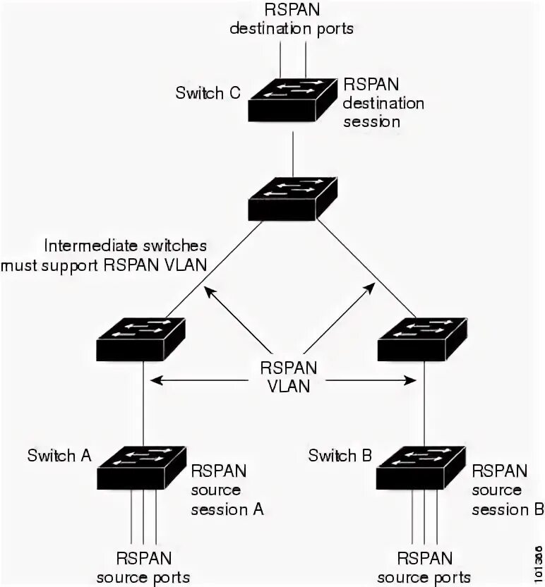 Span cisco. Схема коммутатора Cisco 2960. Схема сети с VLAN. VLAN 3 коммутатора. Cisco Catalyst 2960 схема.