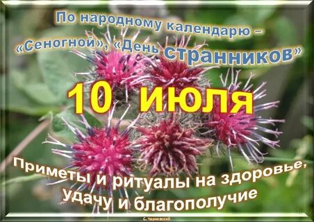 Праздники 10 07