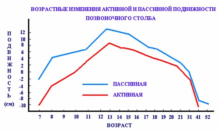 Динамика изменения гибкости. Возрастные изменения активной пассивной подвижности. Зависимость гибкости от возраста. Зависимость гибкости от пола. Подвижность возраст.