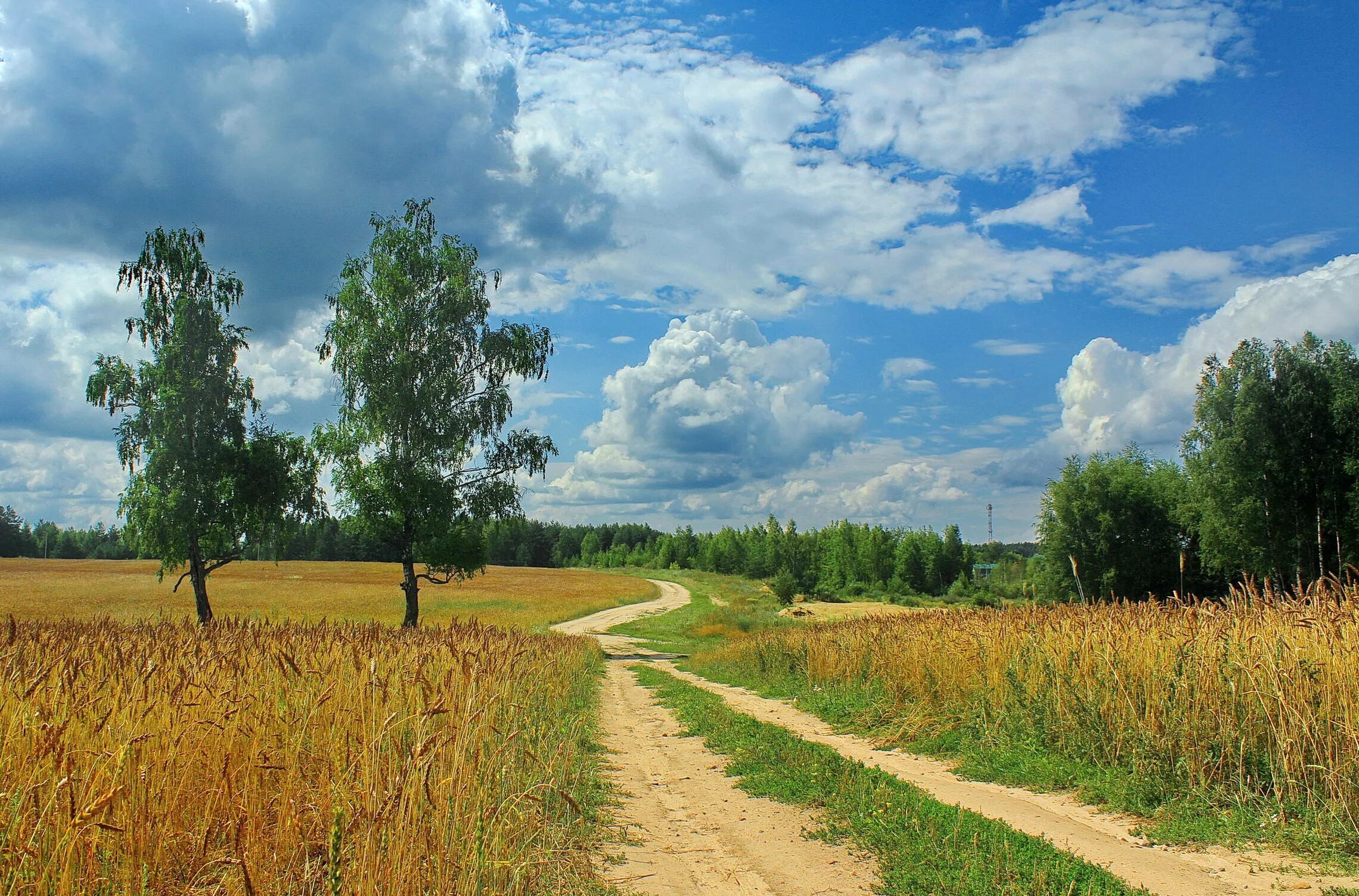 Ширь просторов. Холмы перелески Луга. Родные просторы Кировская область. Природа России холмы перелески Луга. Родина Проселки перелески Эстетика.