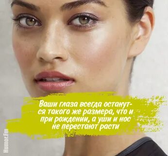 Красота в глазах смотрящего значение