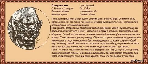 Тотемное животное женщины