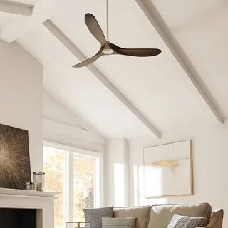 Ceiling fans