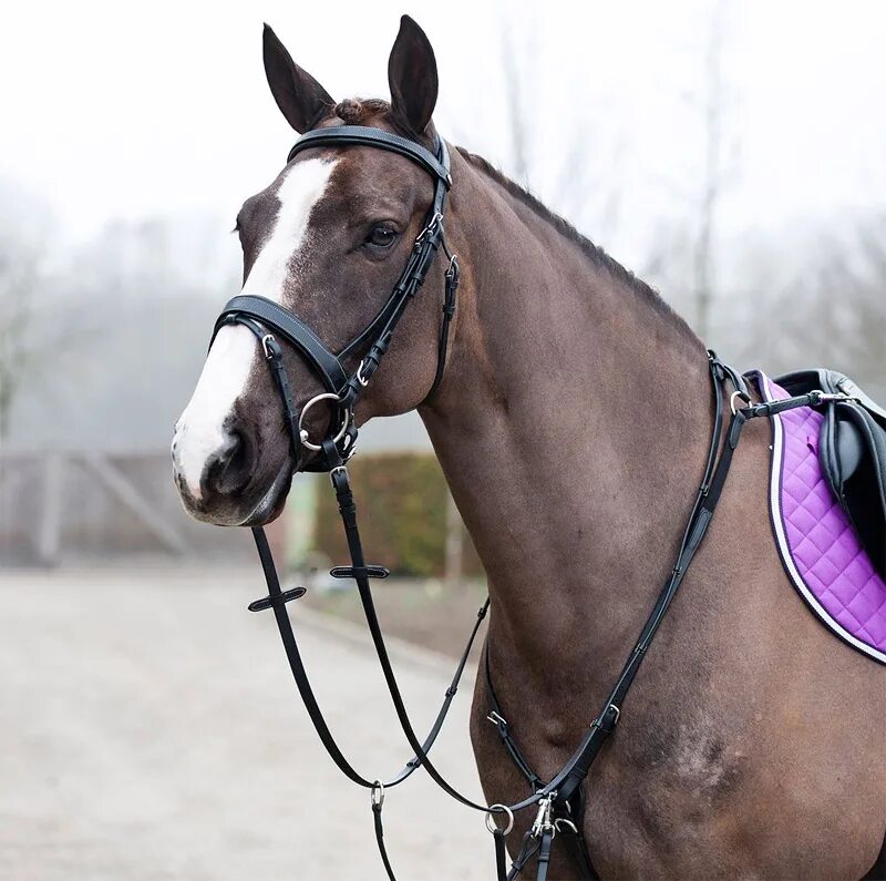 Седло horze. Система пессоа. Мертвый мартингал. Как называется одевают на лошадь. Вальтрап меховушка седло.