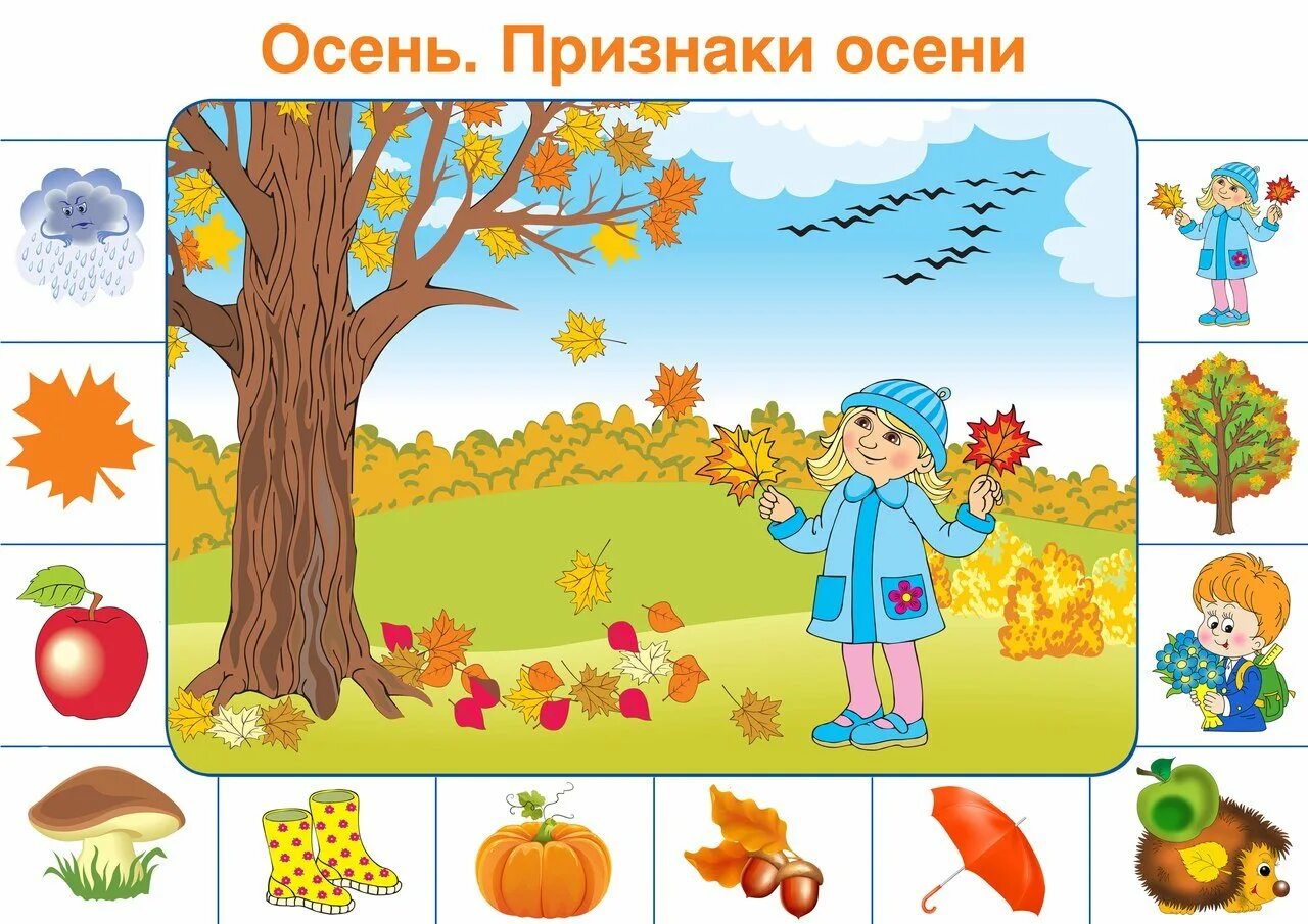 Окружающий мир признаки осени старшая группа. Признаки осени для дошкольников. Окружающий мир признаки осени старшая группа. Времена года 1 класс. Признаки осени для детей в детском саду.