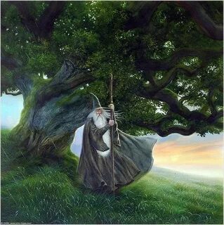 Волшебник среди
