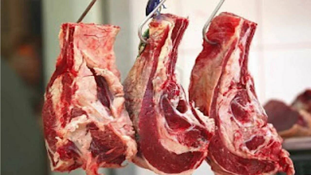 Включи тушу. Включи тушу. Включи тушу. Мясо халяль. Скотобойня халяльное мясо.