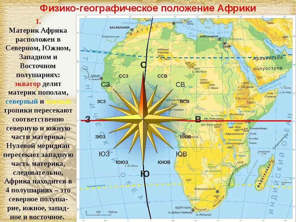 Положение австралии по отношению к экватору тропикам. Географическое положение африки. физико географическое расположение материка африка. физическо географическое положение материка африки. физико-географическое положение африки экватора.
