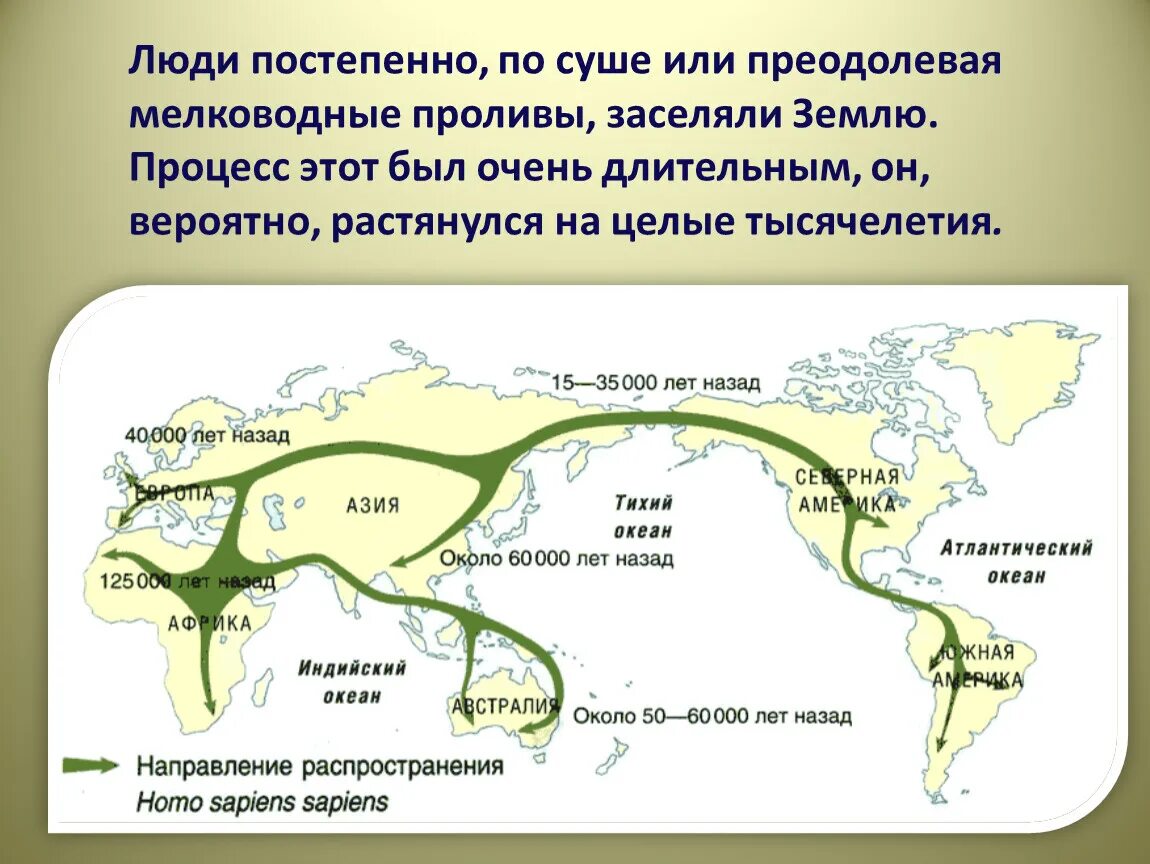 Расселение по земному шару. Карта расселения хомо сапиенс сапиенс. Как люди заселяли землю. Карта расселения человека по континентам земли. Карта заселения земли человеком.