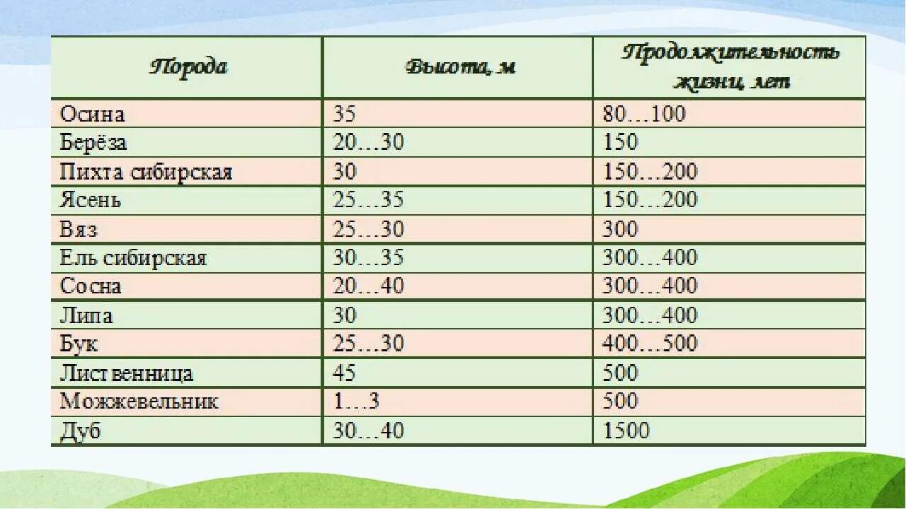 Сколько живут лен. Продолжительность жизни деревьев название дерева. Деревья и Продолжительность жизни таблица 1. Продолжительность жизни деревьев таблица по окружающему миру 1 класс. Деревья и Продолжительность жизни деревьев таблица.