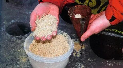 Приманка для рыбы манка
