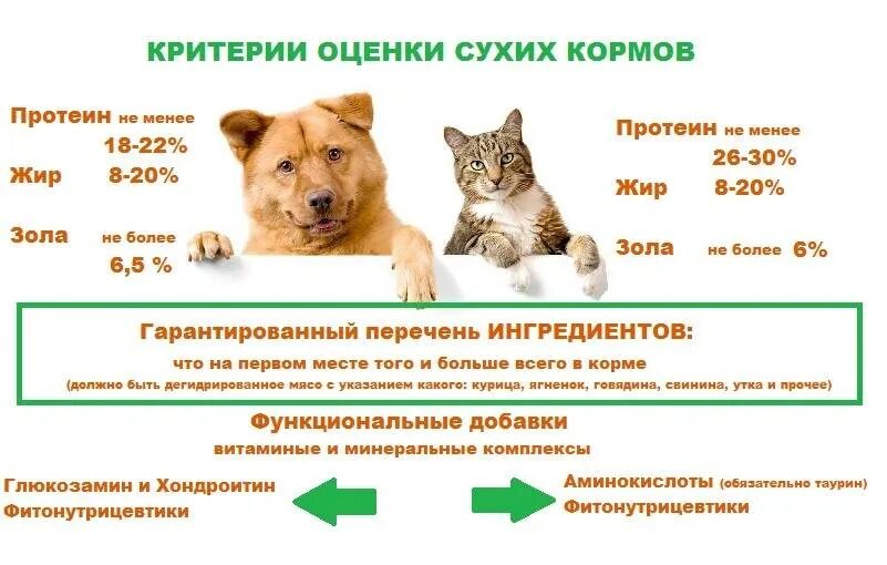 Чем отличается кошачий корм от собачьего. Исследование кормов для кошек. классификация корма для кошек. классификация кормов для собак. сухие корма для животных классификация.