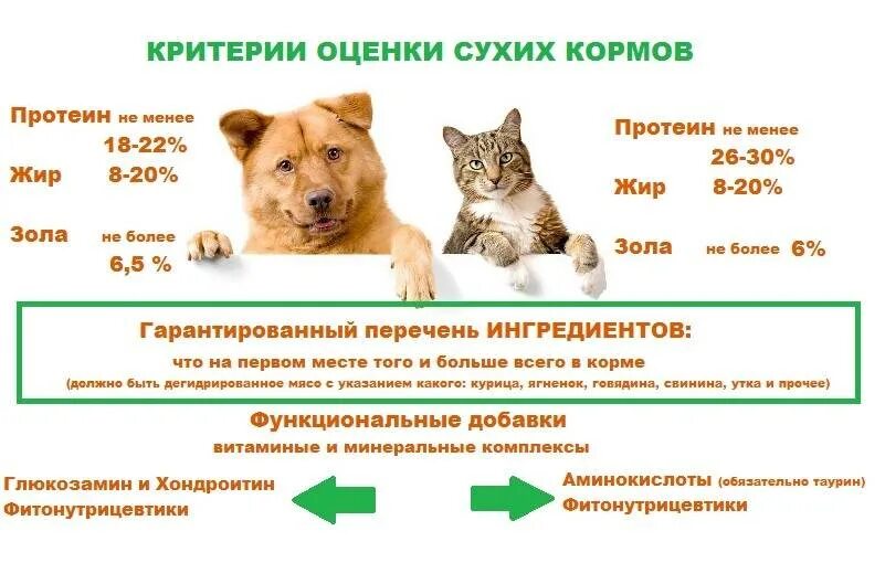 Классы кормов для кошек и собак. Классификация кормов для домашних животных. Классификация корма для собак. Градация кормов для собак. Кошки переводят собаку