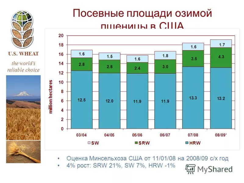 Площадь озимых. Площадь озимых. Площадь озимых. Сельское хозяйство. Озимые и яровые хлеба.