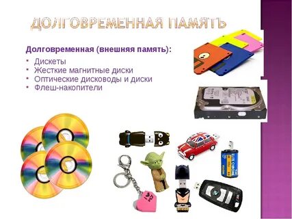 Выделите долговременная память