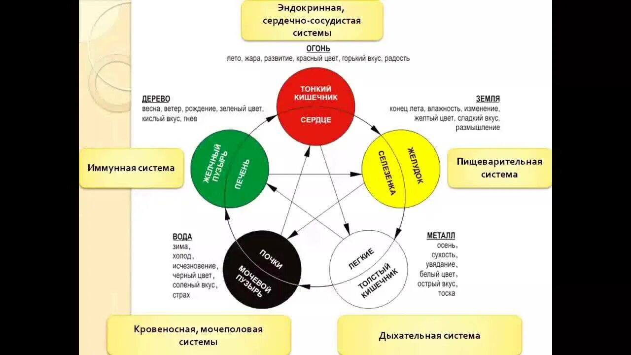 Русский язык 5 элементов. Круг у-син 5 элементов. Усин китайская философия. Система 5 элементов у-син. 5 Стихий Усин.