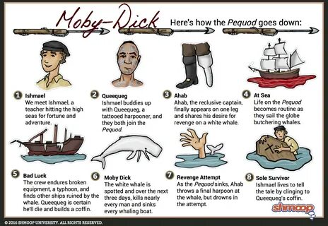 Moby Dick - a great white sperm whale. 