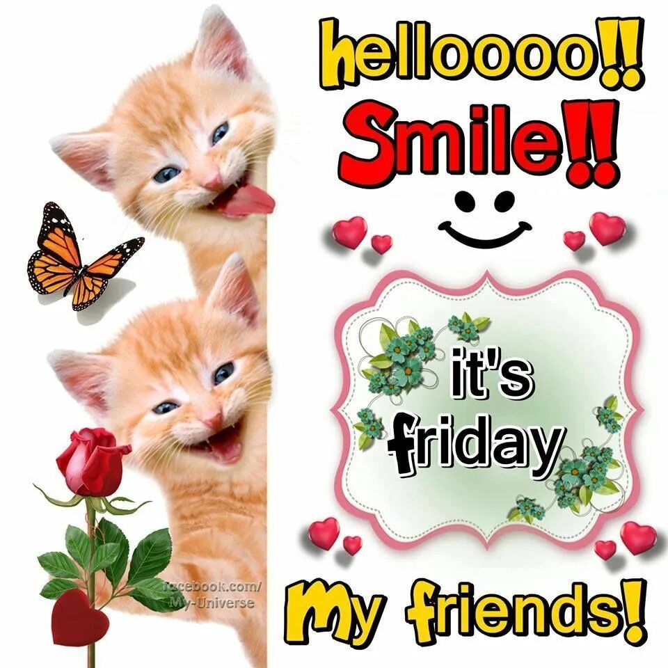 This my friday. Smile its Friday. Friday friends. Bon weekend картинки красивые с животными. Hellooo.