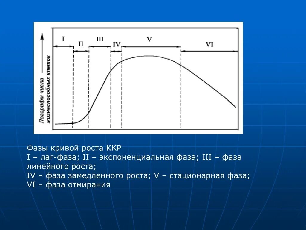 Стационарная кривая. Экспоненциальная фаза роста. Фазы Кривой роста. Экспоненциальная фаза роста микроорганизмов. Лаг фаза экспоненциальная фаза.