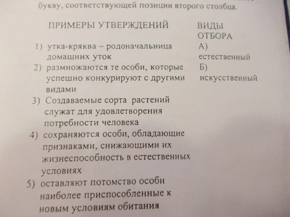 Установите соответствие между утверждениями и примерами Теория множеств презентация онлайн
