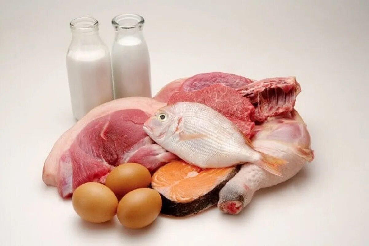 Мясо рыба яйца. Мясо молоко яйца. Мясо рыба молоко. Животные белки продукты.